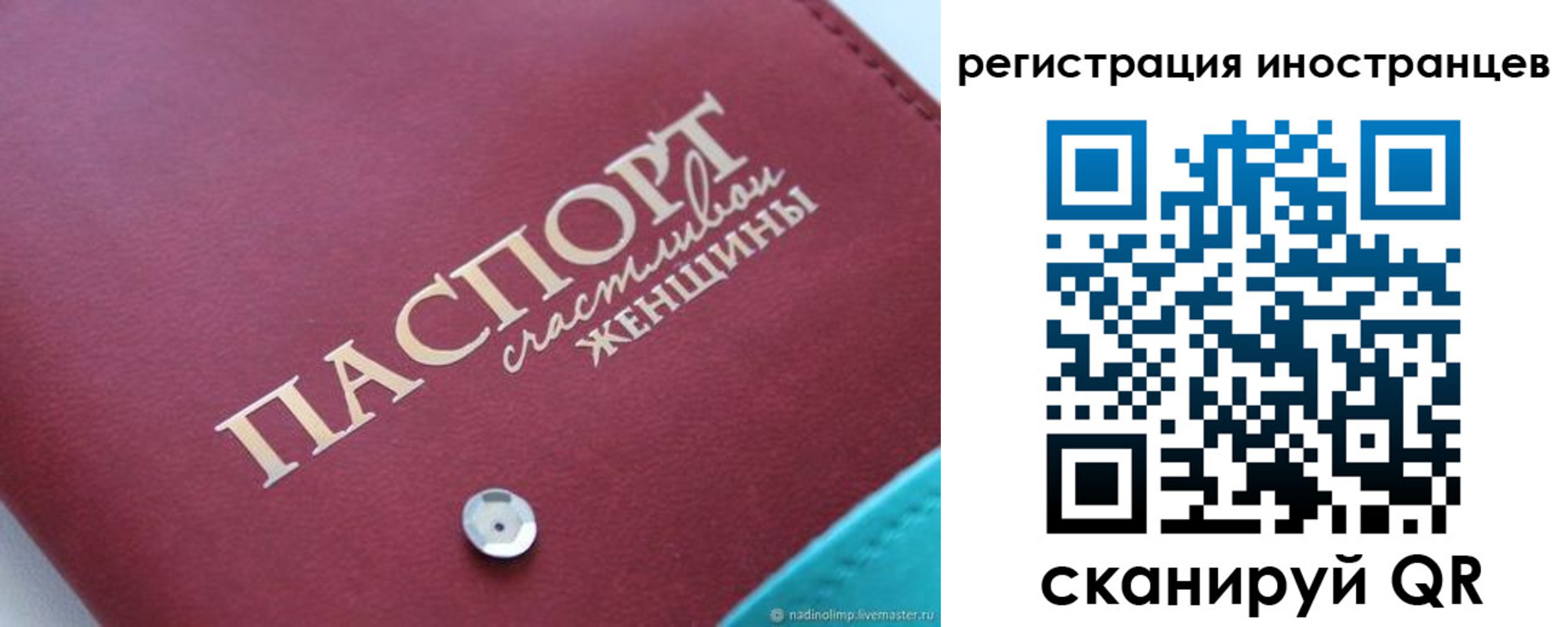 прописка регистрация в Светлогорске